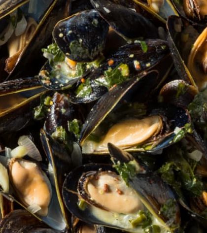 Gordon Ramsay Mussels
